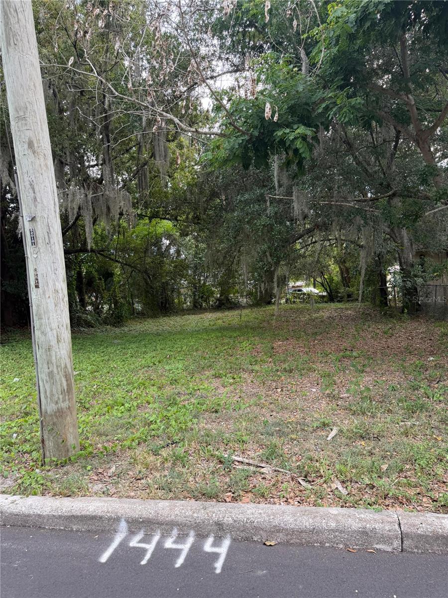 PALMA CEIA COURT - Land