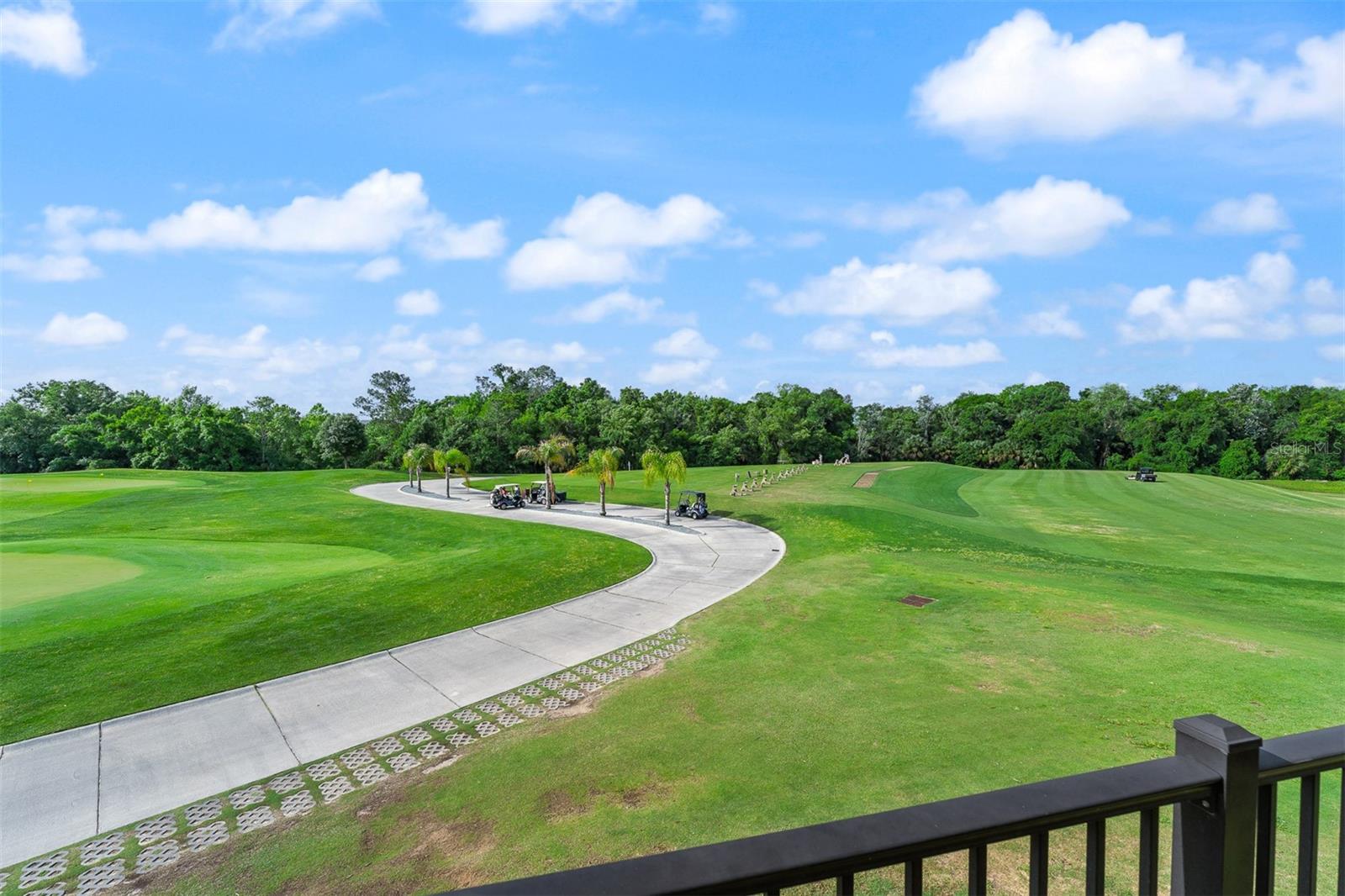 REUNION FAIRWAYS 17 & 18 PH 3 - Residential