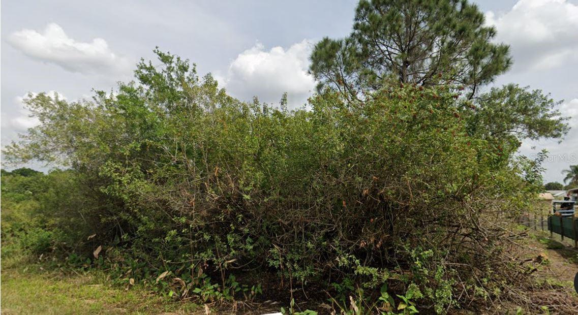 BASSWOOD ESTATES UN 05 - Land