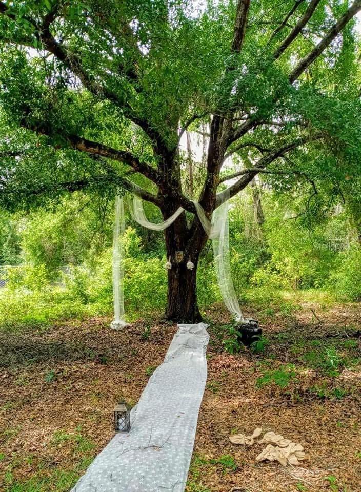 FLORIDA NATURIST PARK - Land