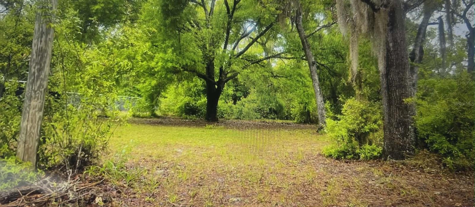 Price reduction!
This beautiful almost–half-acre wooded lot with well and septic already in place, giving you a head start on creating your dream homestead. The property offers a quiet, rural setting while still being just minutes from local conveniences and the Suncoast Parkway, making commuting and daily errands easy.

The impact fees have already been paid, adding even more value and convenience as you plan your build. With mature trees, privacy, and plenty of space to design exactly what you want, this property is an ideal canvas for your future home.

Schedule your viewing today and explore the possibilities.