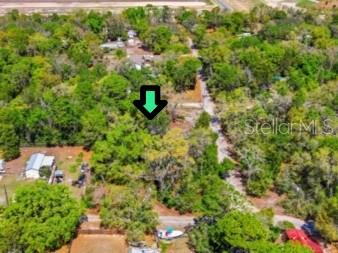 FLORIDA NATURIST PARK - Land