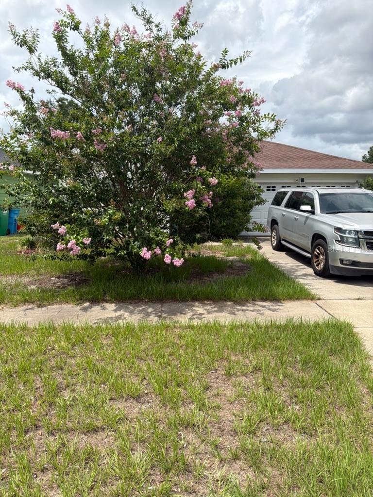ASHTON RIDGE - Residential