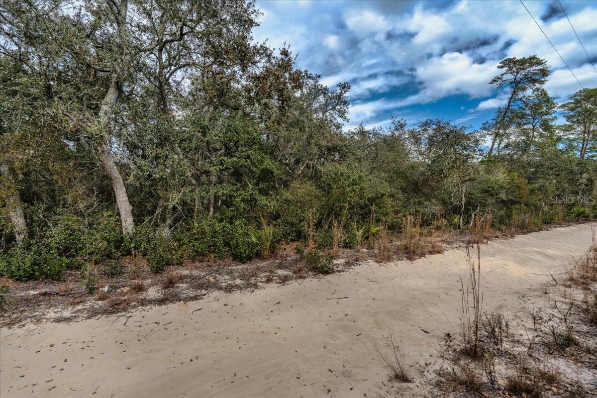 OCALA NATIONAL FOREST CAMPSITES - Land