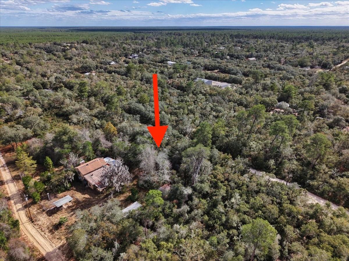 OCALA NATIONAL FOREST CAMPSITES - Land