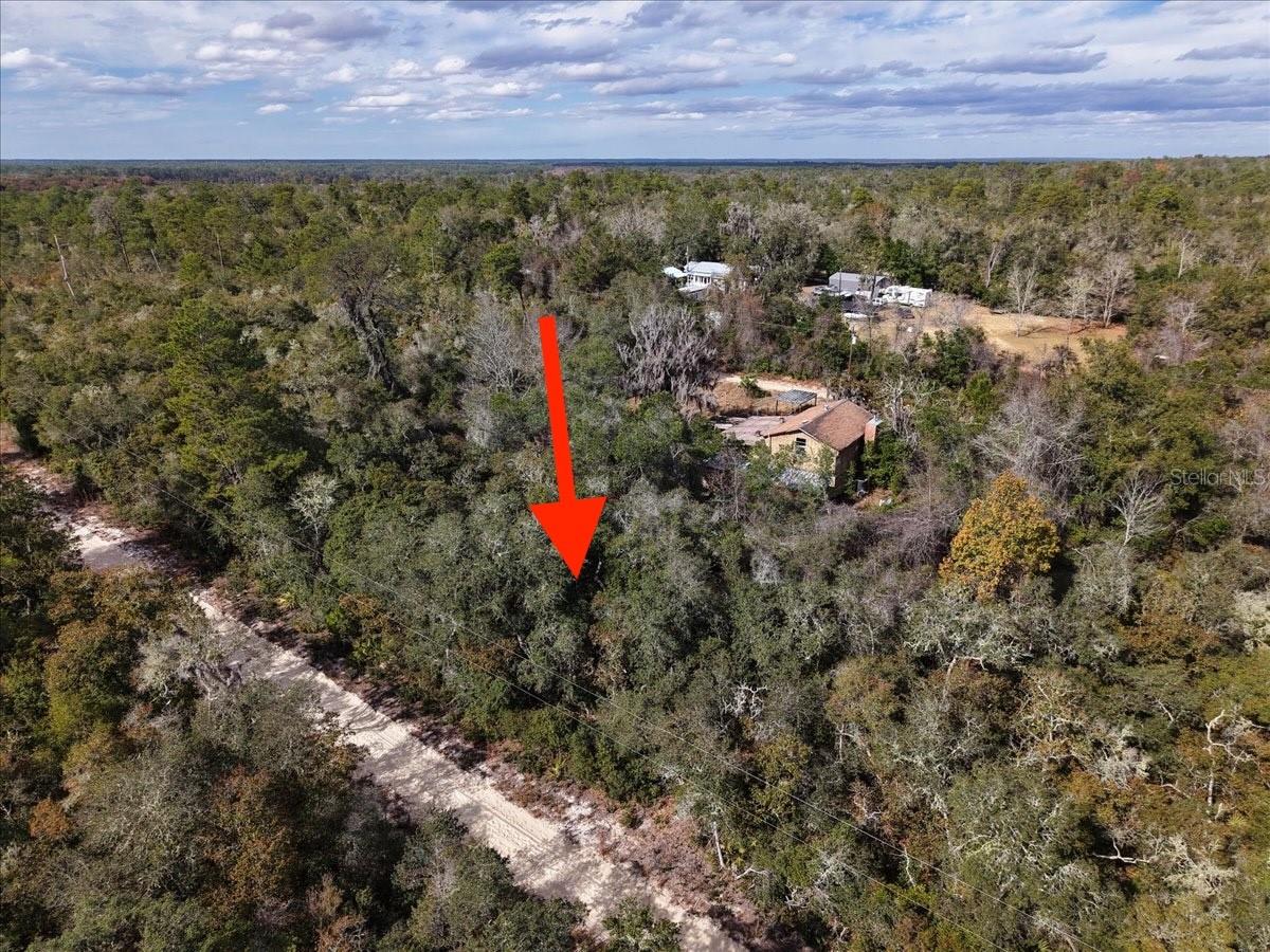 OCALA NATIONAL FOREST CAMPSITES - Land