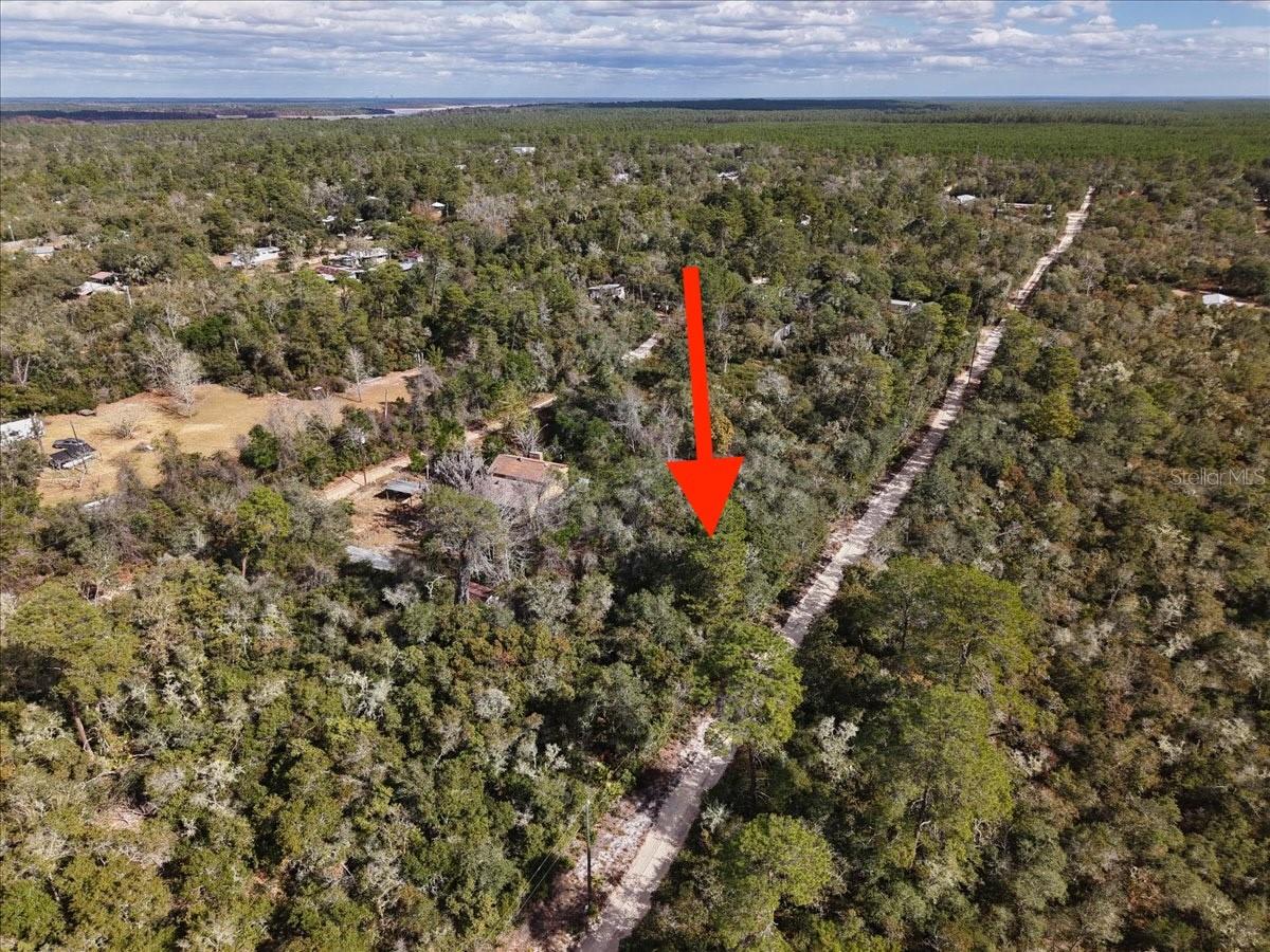OCALA NATIONAL FOREST CAMPSITES - Land