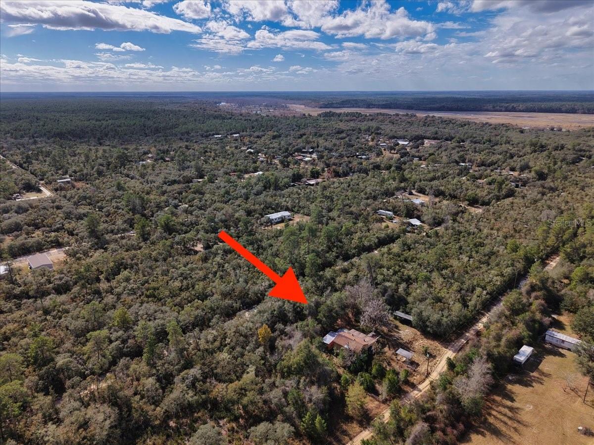 OCALA NATIONAL FOREST CAMPSITES - Land