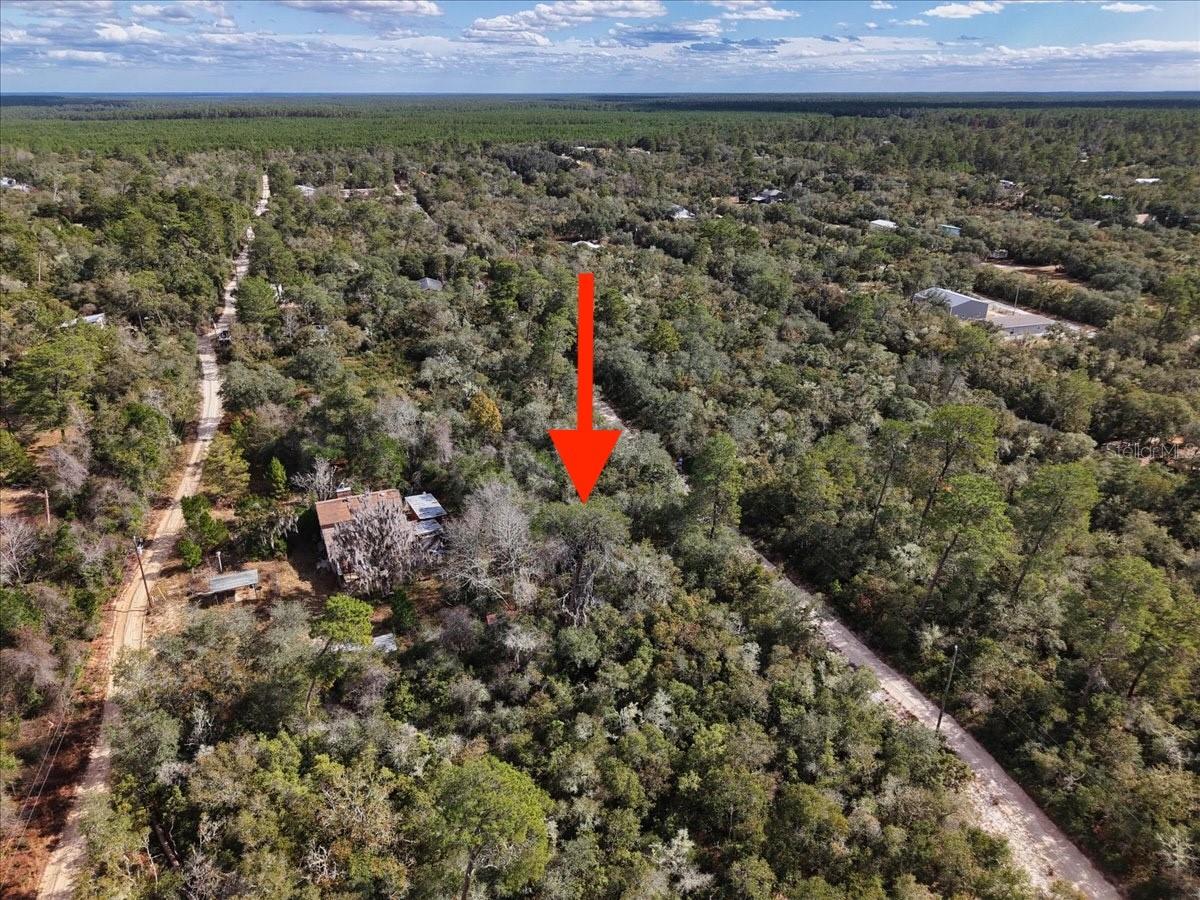 OCALA NATIONAL FOREST CAMPSITES - Land