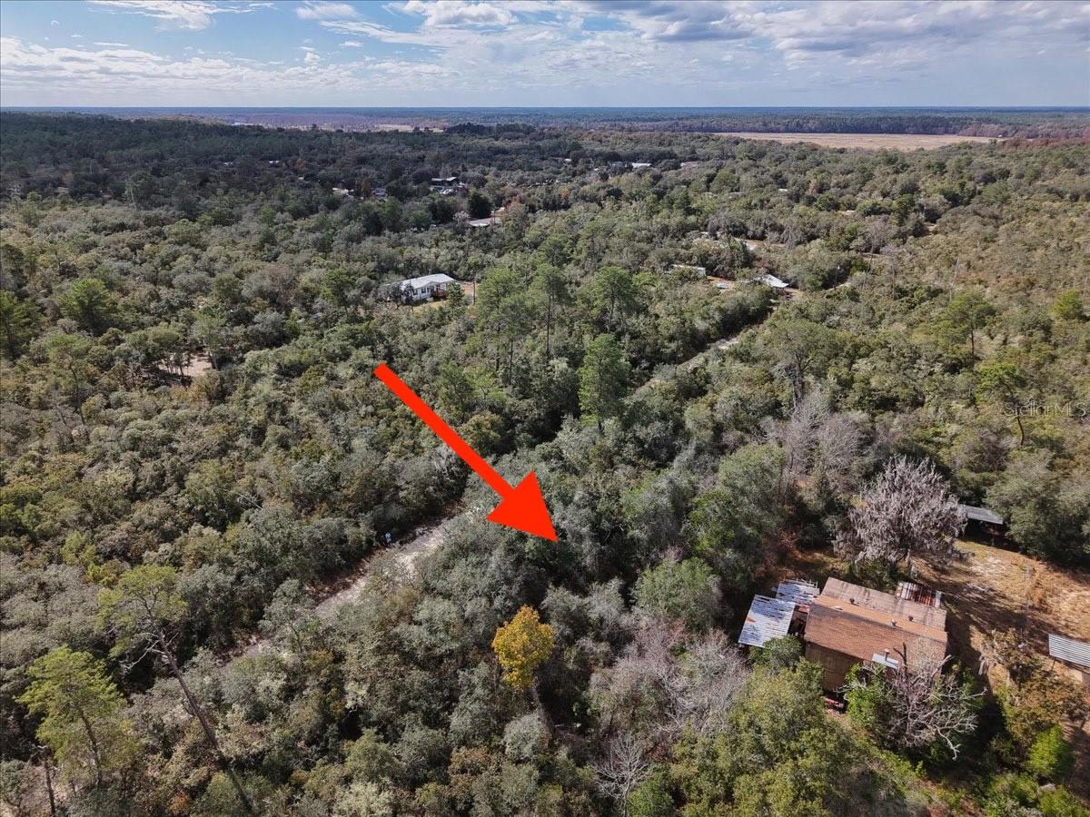 OCALA NATIONAL FOREST CAMPSITES - Land