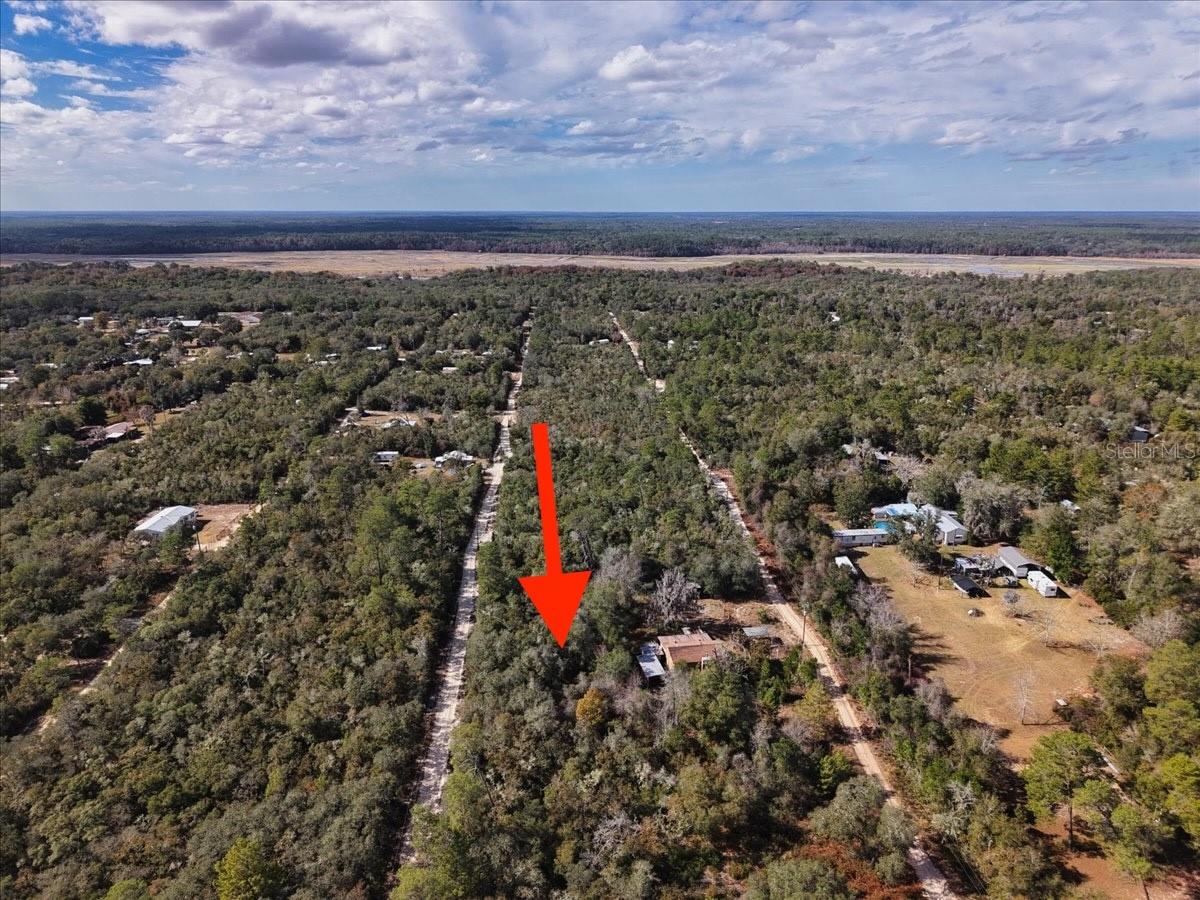 OCALA NATIONAL FOREST CAMPSITES - Land