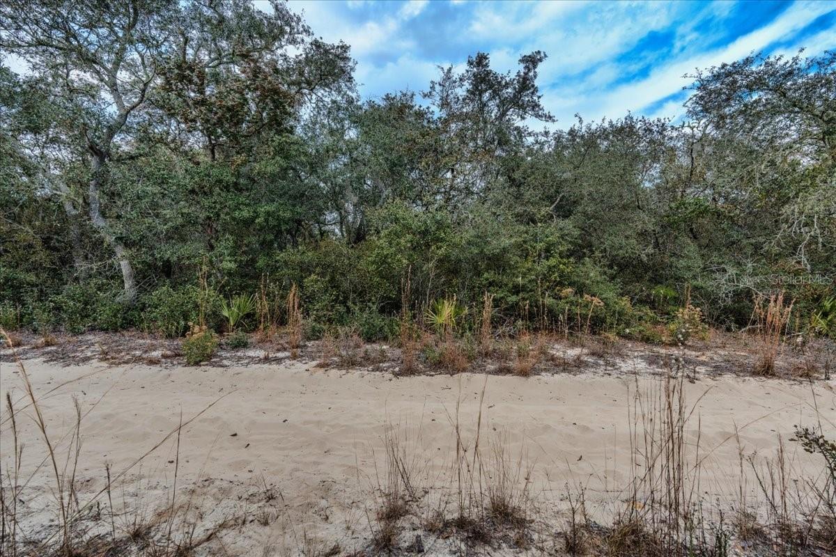 OCALA NATIONAL FOREST CAMPSITES - Land