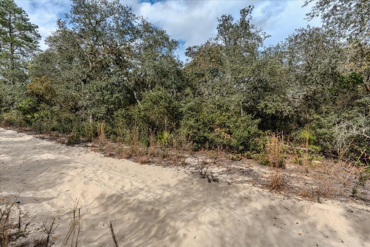 OCALA NATIONAL FOREST CAMPSITES - Land