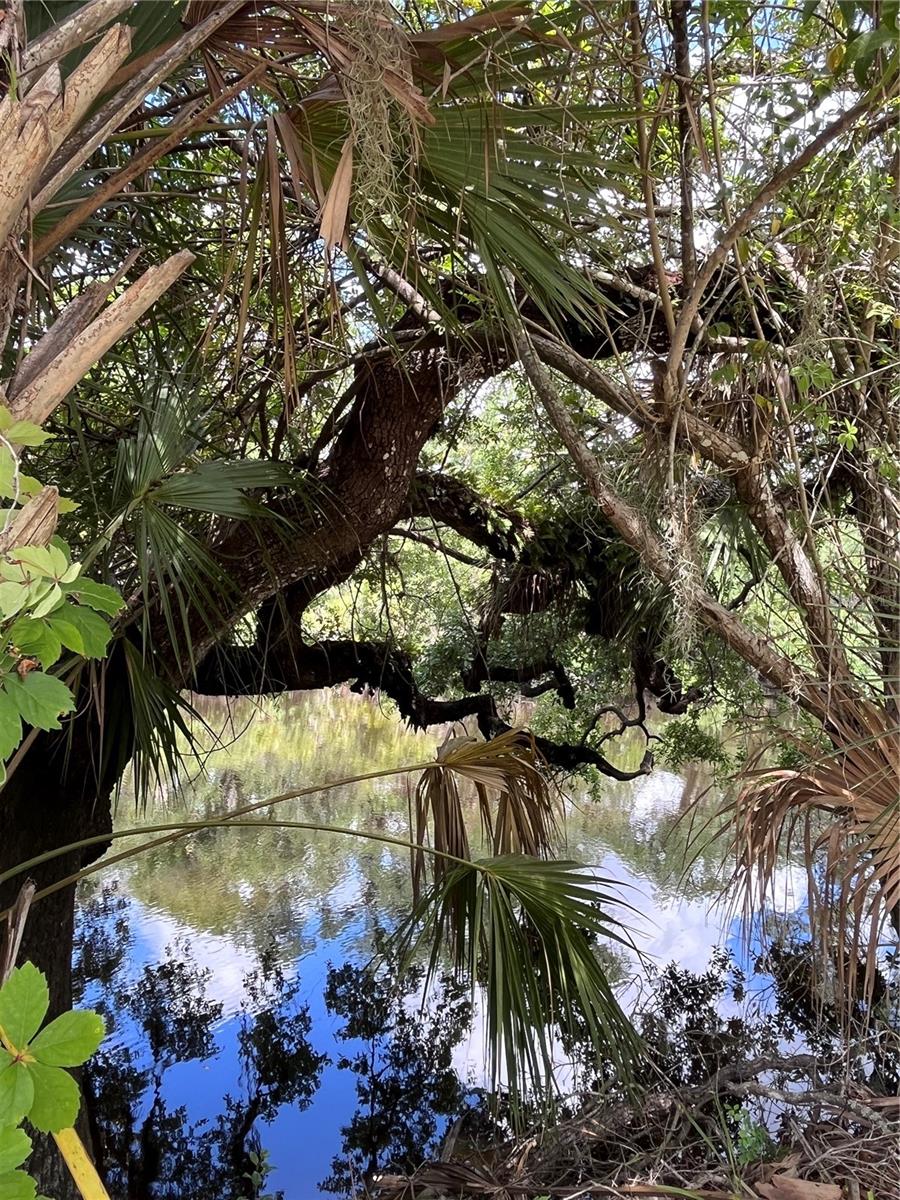 SHORES OF MYAKKA RIVER - Residential