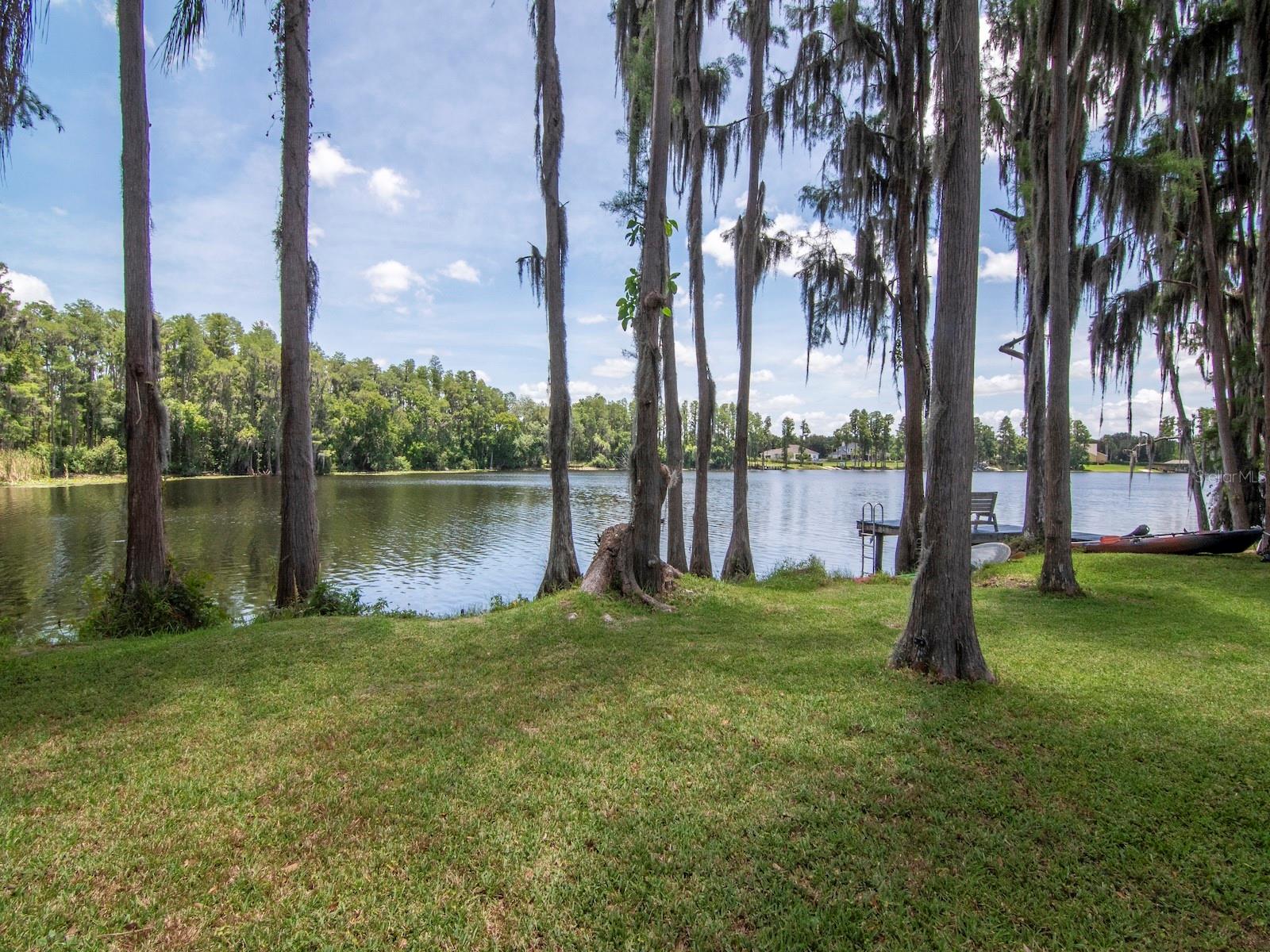 NORTH TAMPA LAND COS SUB - Residential