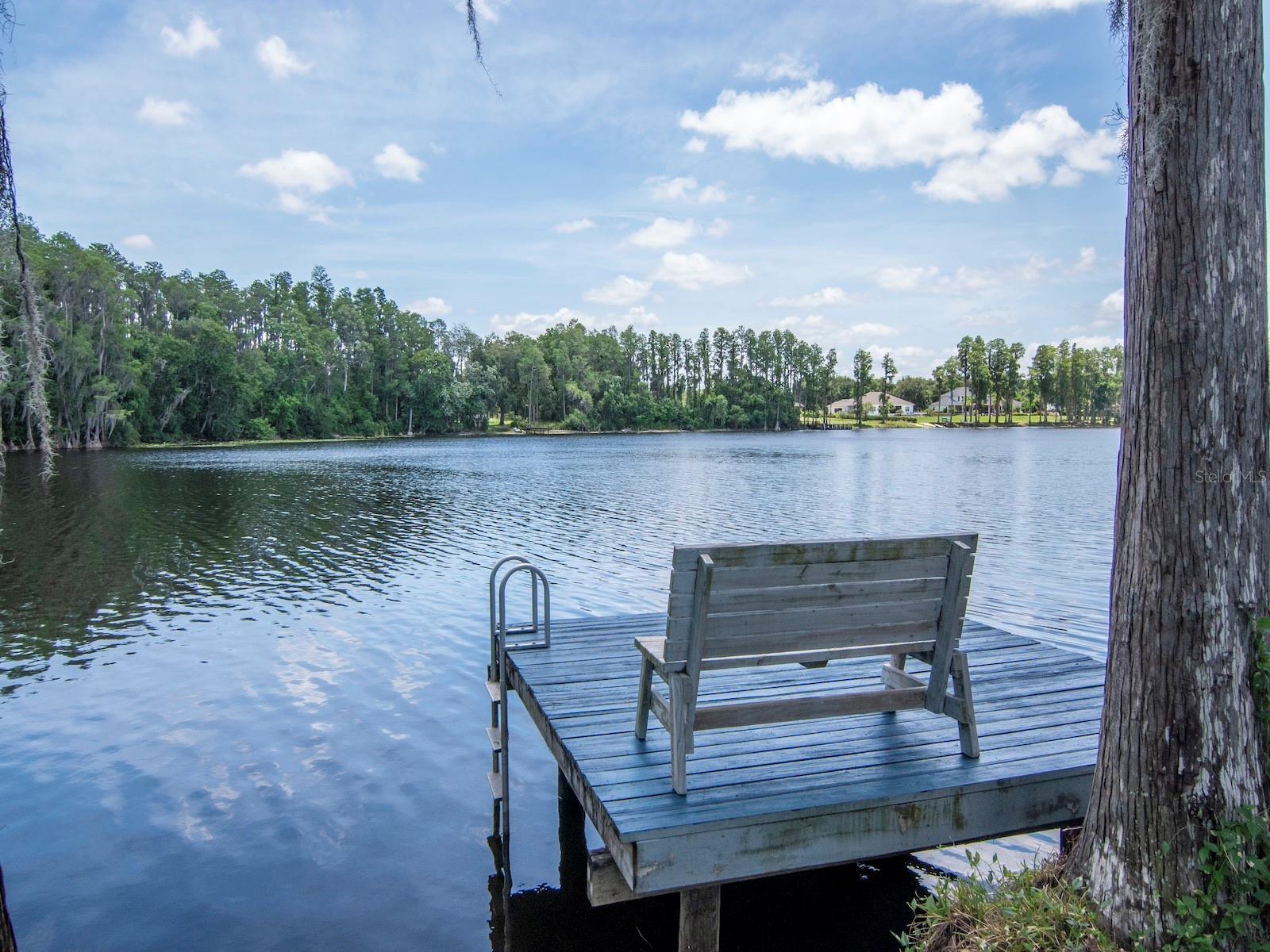 NORTH TAMPA LAND COS SUB - Residential