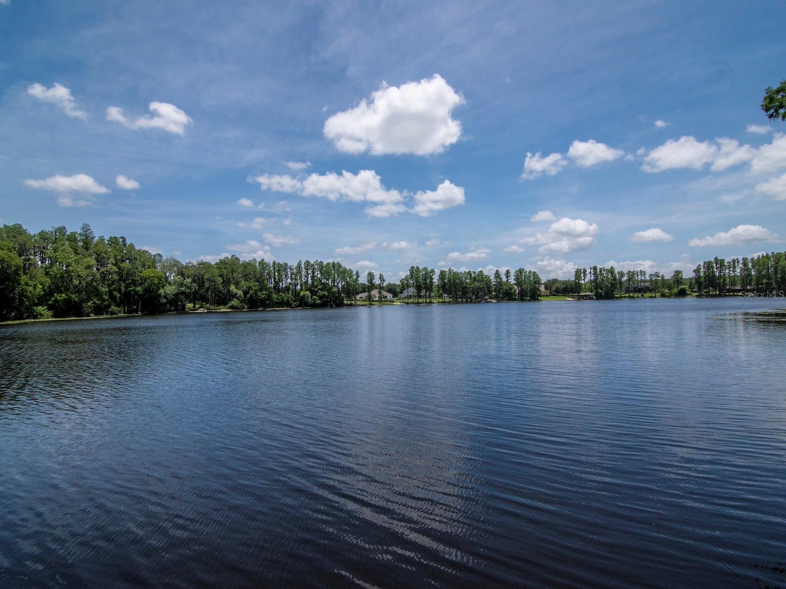 NORTH TAMPA LAND COS SUB - Residential