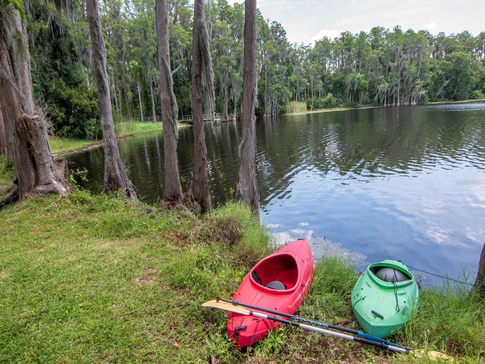 NORTH TAMPA LAND COS SUB - Residential
