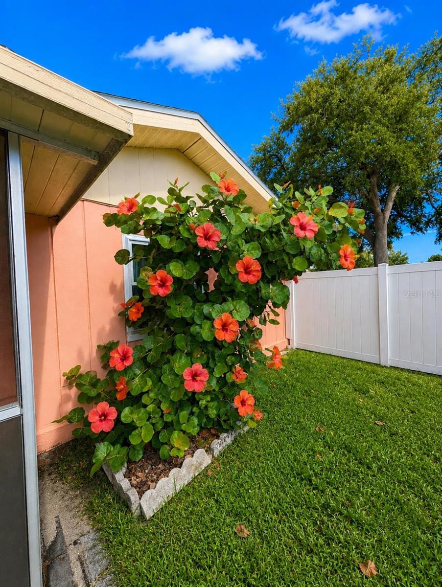 NORTH EDGEWOOD SEC OF VENICE - Residential