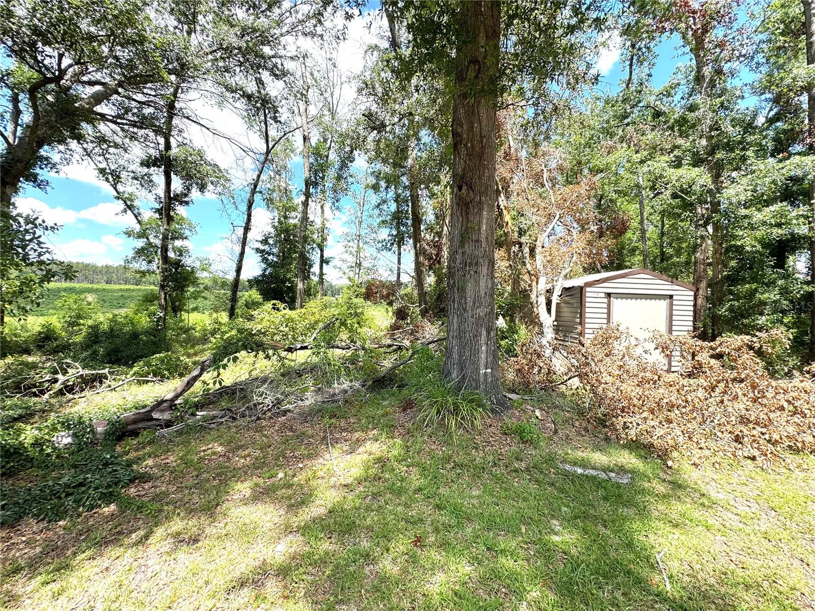 ARBOR GREENE/EMERALD LAKES - Residential