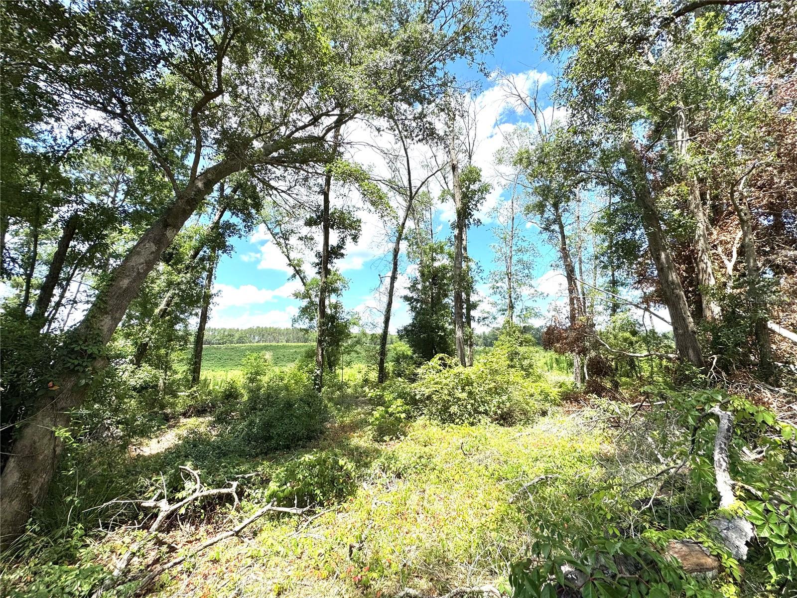 ARBOR GREENE/EMERALD LAKES - Residential