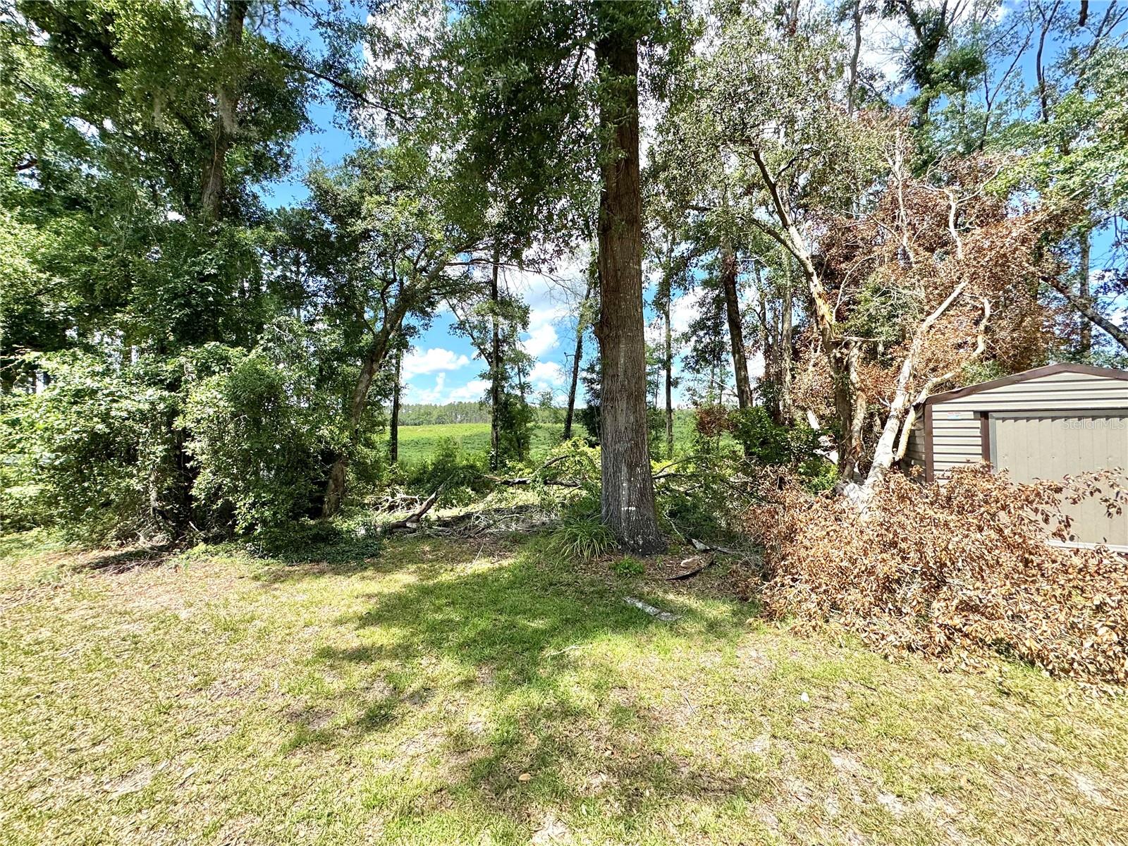 ARBOR GREENE/EMERALD LAKES - Residential