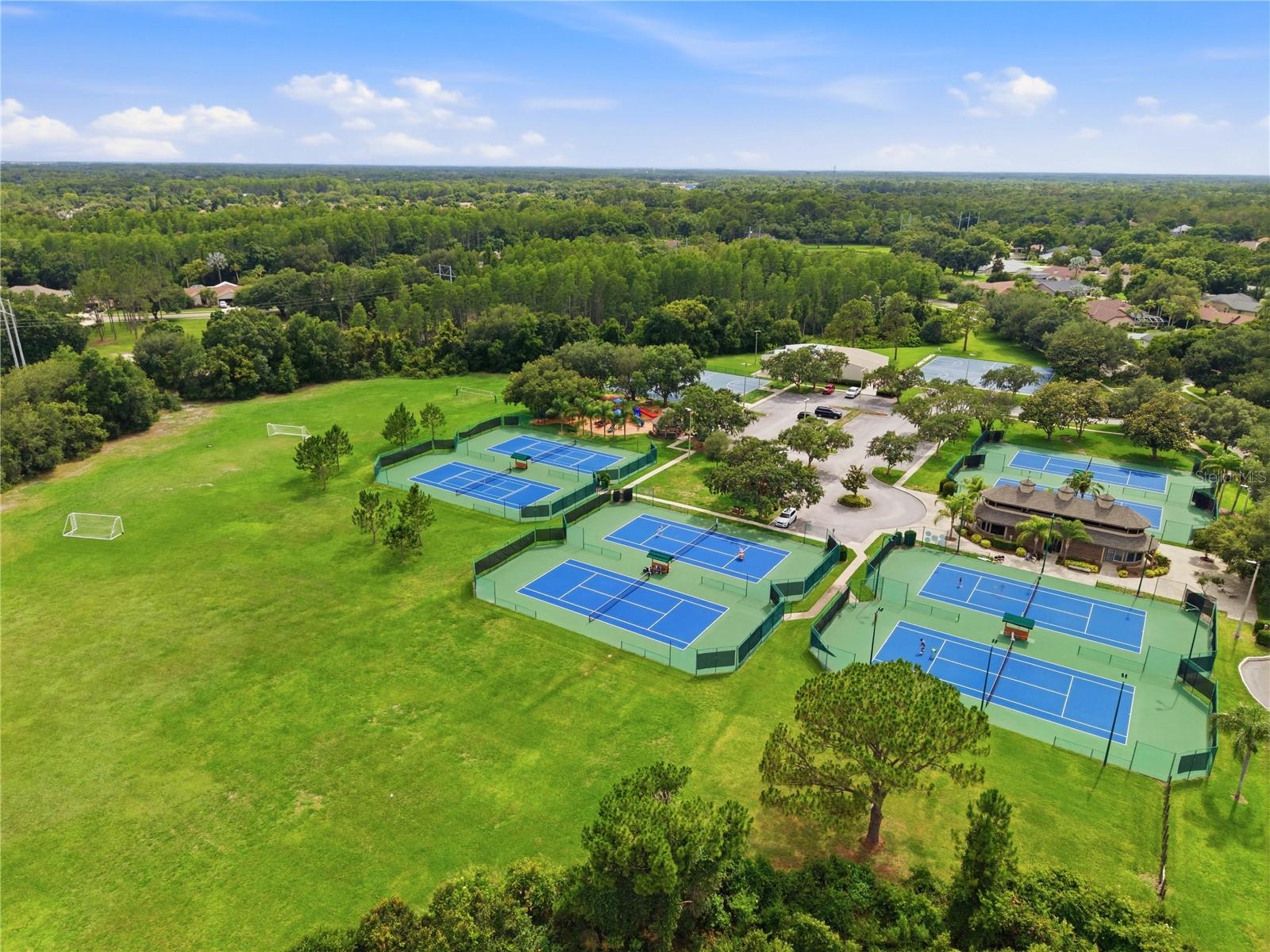 THE TRAILS AT VAN DYKE FARMS - Residential
