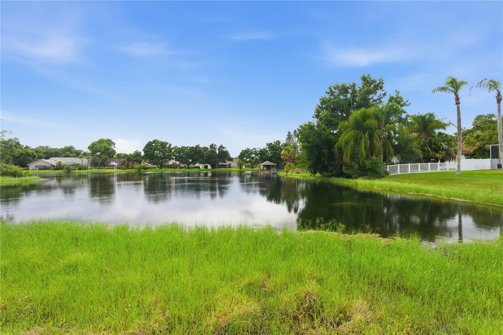 THE TRAILS AT VAN DYKE FARMS - Residential