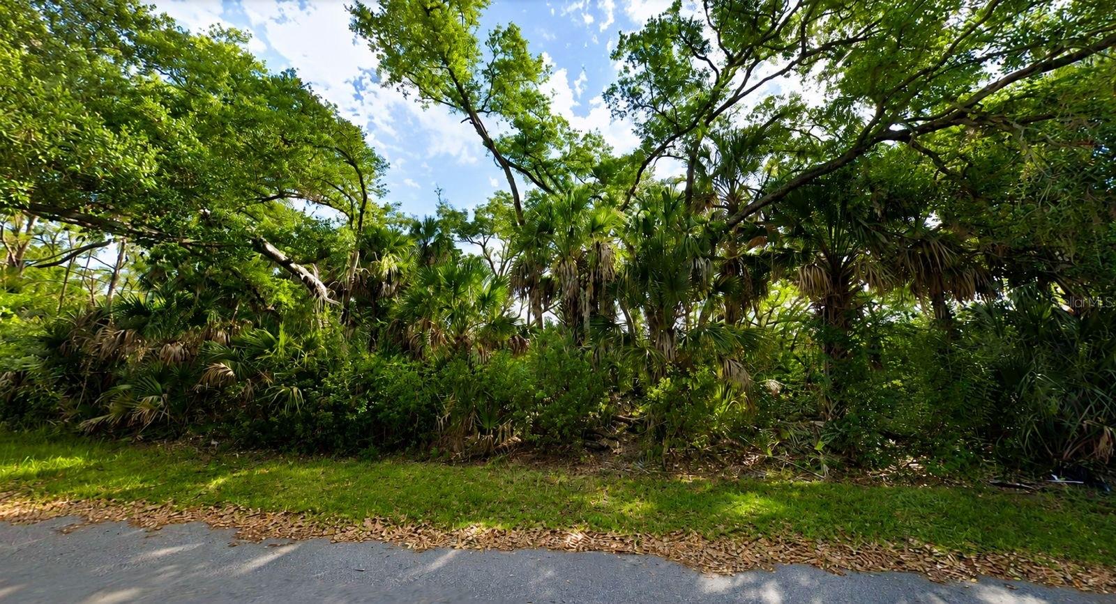 PORT CHARLOTTE SEC 029 - Land