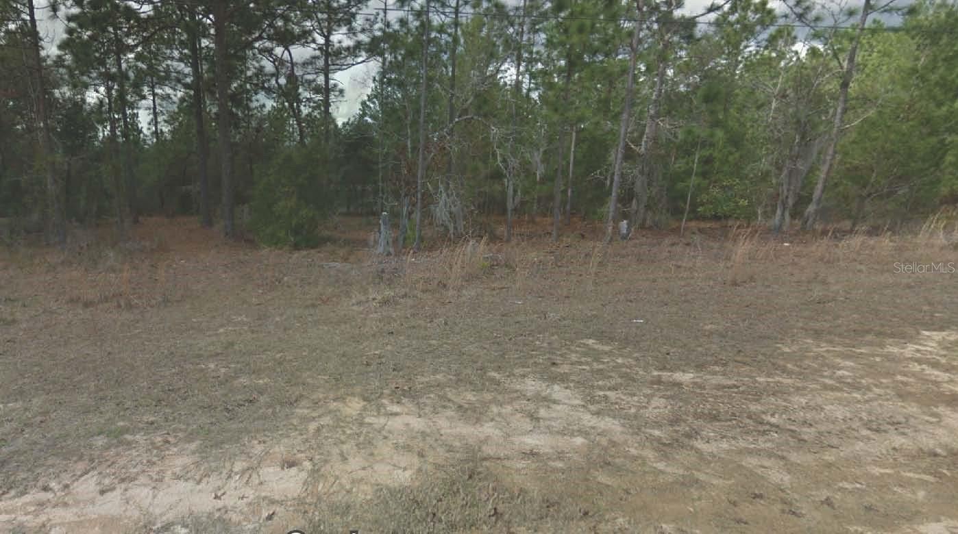 INTERLACHEN LAKES ESTATES - Land