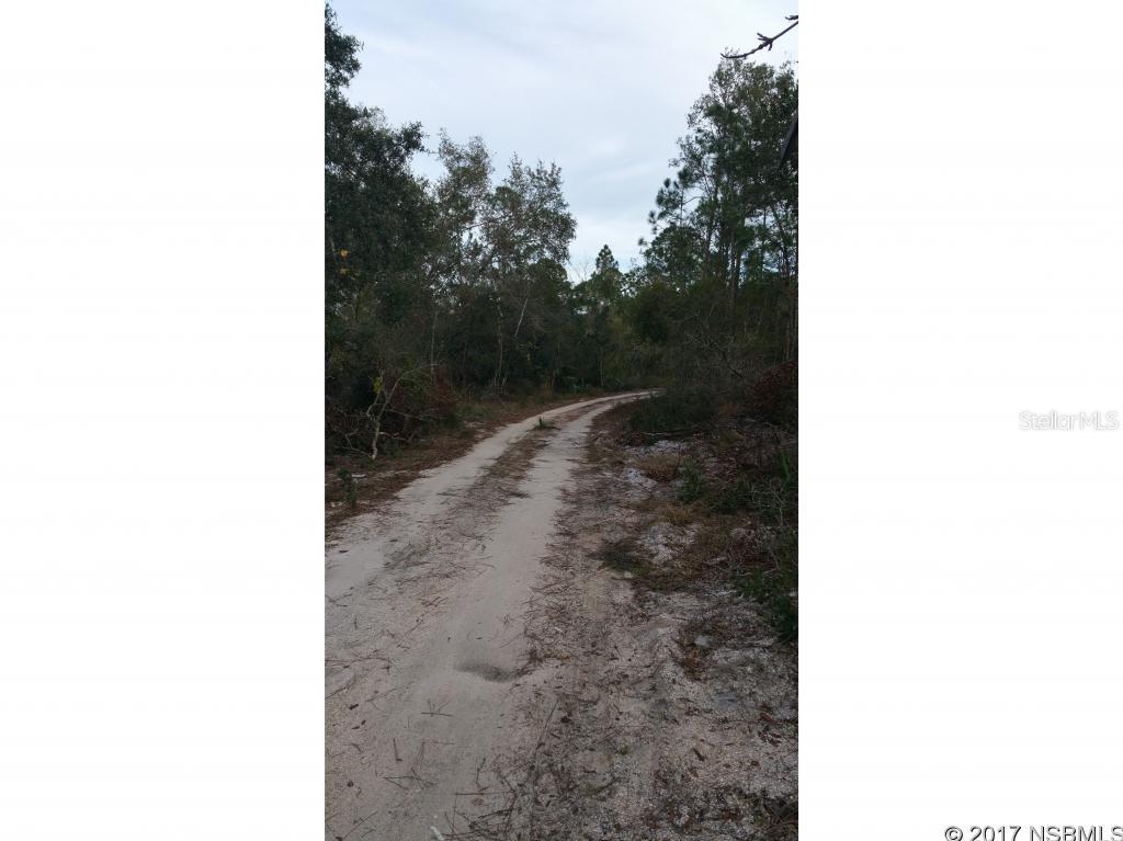 This is beautiful property in need of clearing and your personal vision! The home is a solid construction, and should be seen as a blank canvas! The property alone is worth the purchase price. Come consider how peaceful a life in the country would be!