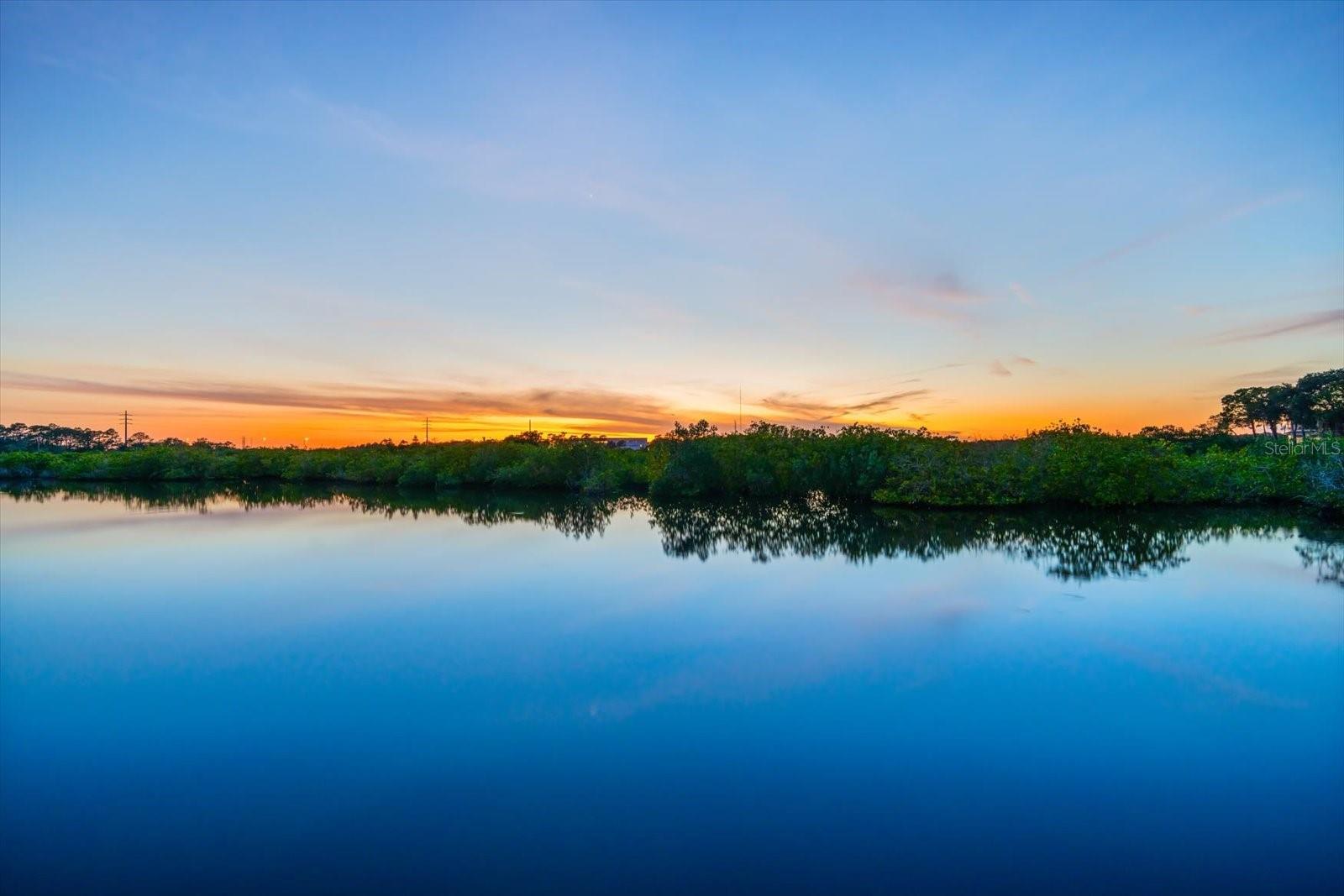 TAMPA & TARPON SPGS LAND CO - Residential