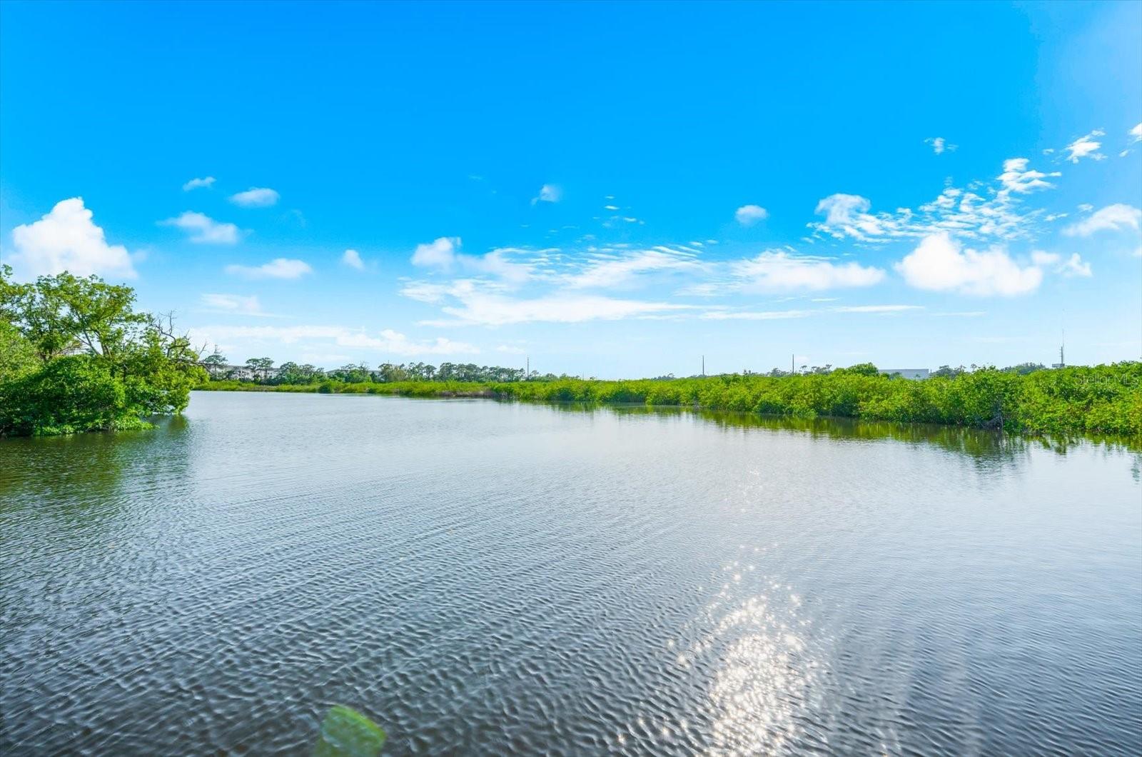 TAMPA & TARPON SPGS LAND CO - Residential