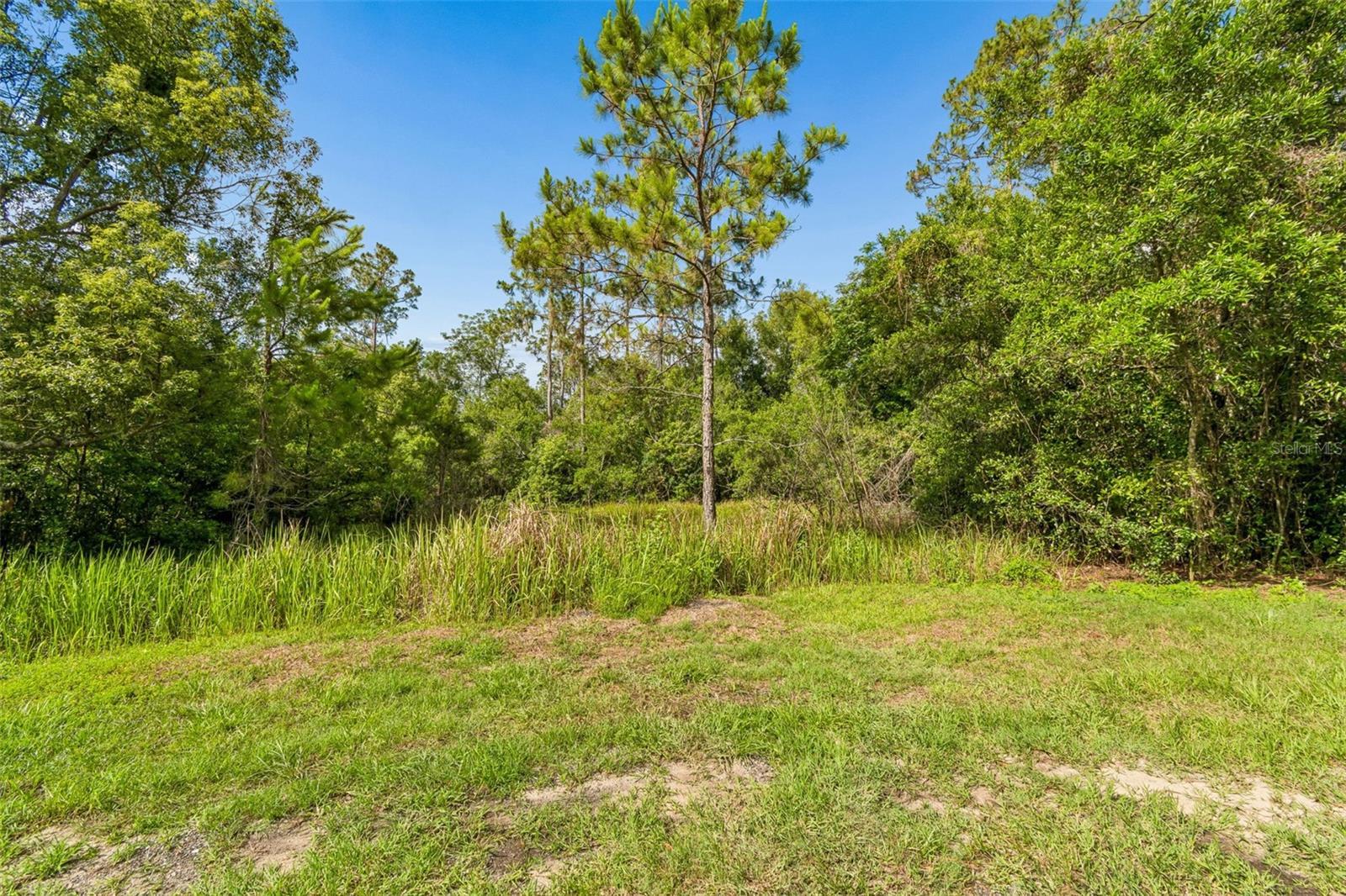 Surrounded by mature trees and natural beauty, this heavily wooded parcel offers exceptional privacy and a peaceful Old Florida atmosphere while still being conveniently located near everyday essentials. Situated beside Scotland Yards Golf Club and featuring Highway 301 frontage, this property combines convenience, character, and long-term value. Opportunities like this are becoming increasingly rare, with very few vacant homesites remaining in this established and highly sought-after area. Neighboring custom homes create an upscale setting with beautiful elevated views overlooking Zephyrhills and the surrounding countryside. Enjoy the flexibility to bring your own builder and design the custom home you’ve always envisioned with no cookie-cutter feel. Conveniently located less than 2 miles from healthcare, shopping, restaurants and easy highway access to Orlando and the beaches!