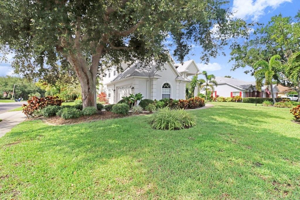 MANGO PARK NORTHWEST - Residential