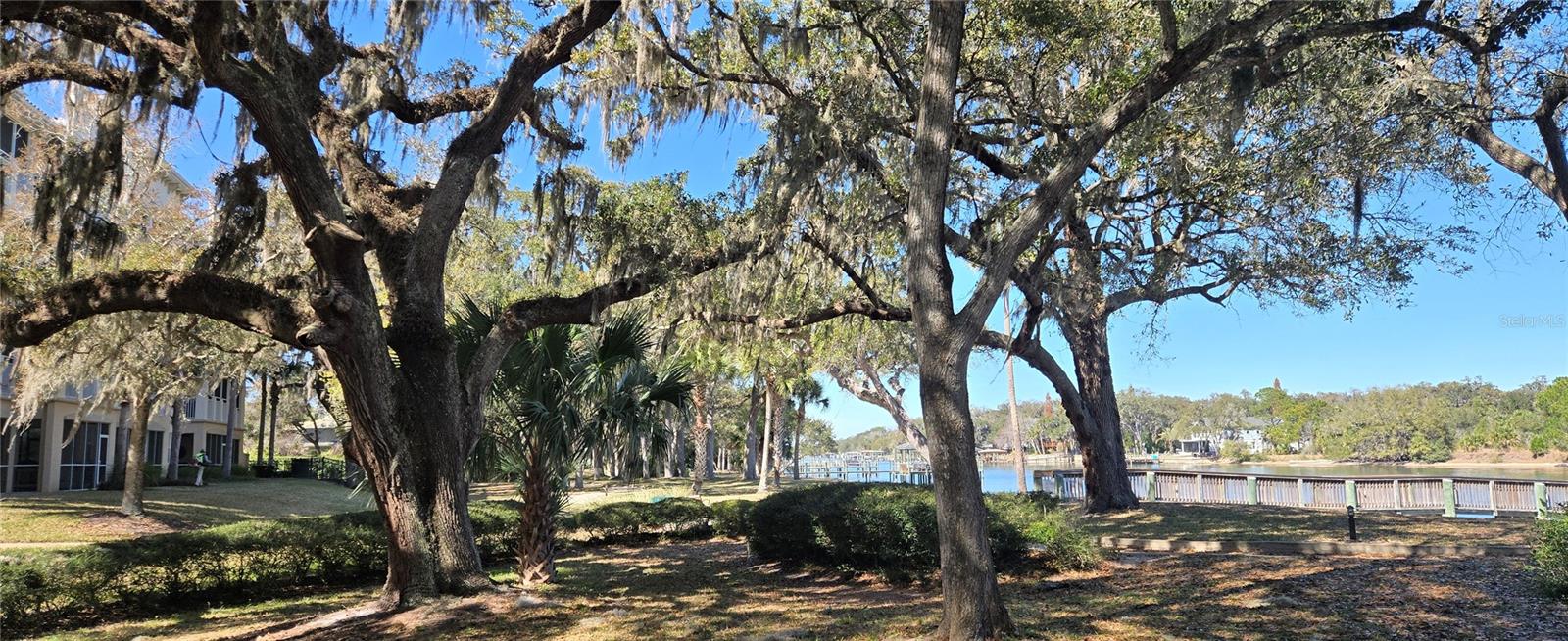 TIDELANDS - Residential