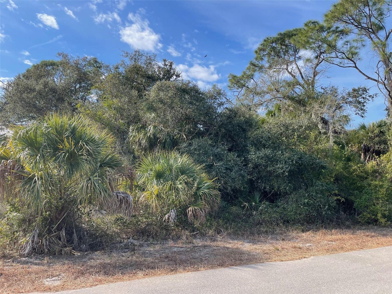 RARE PROPERTY!  Are you one of many buyers looking for a property to build your dream home and prefer not to have neighbors too close? This is the perfect spot. The property behind, to the south, and to the west side is a 6.08-acre single-family estate, with the home set far from this lot, giving you the privacy you want. This sought-after property is in a quiet neighborhood, close to North Port Water Park, Atlanta Braves Spring Training Park, Warm Mineral Springs, Wellen Park downtown, restaurants, and shopping. Don't miss out, VIEW IT TODAY!