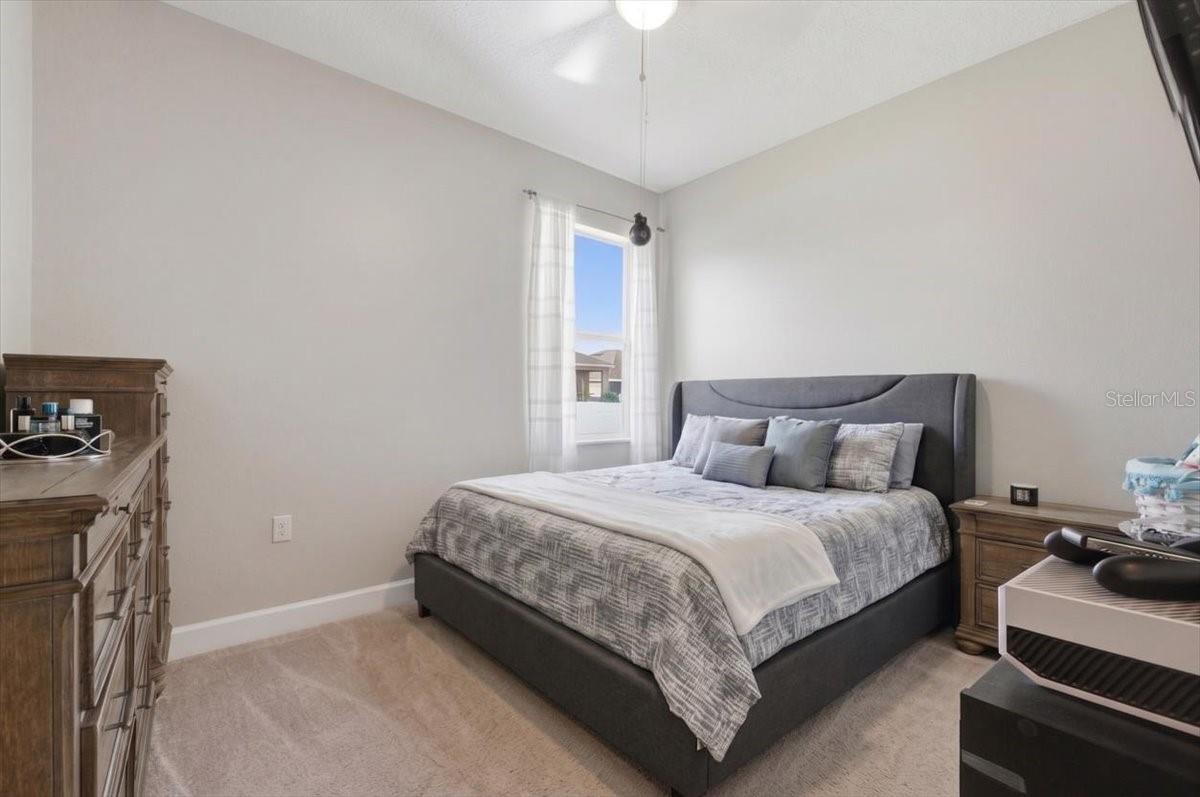 CARLISLE GRAND - Residential