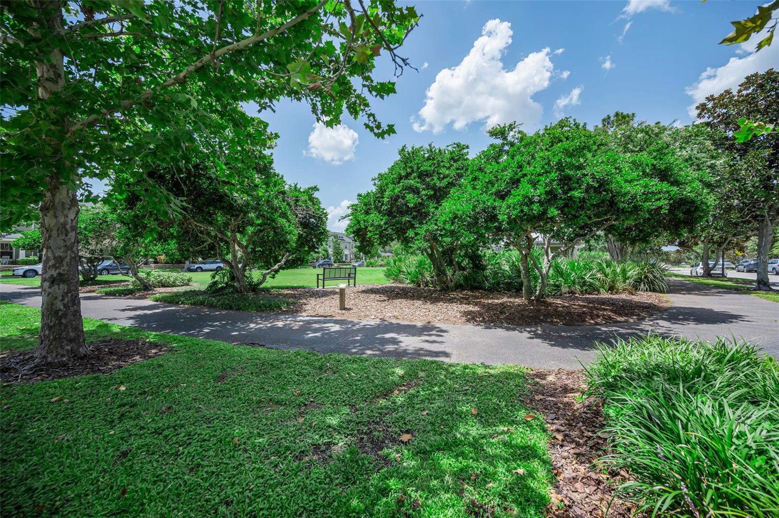 LONGLEAF NBRHD 3 - Residential