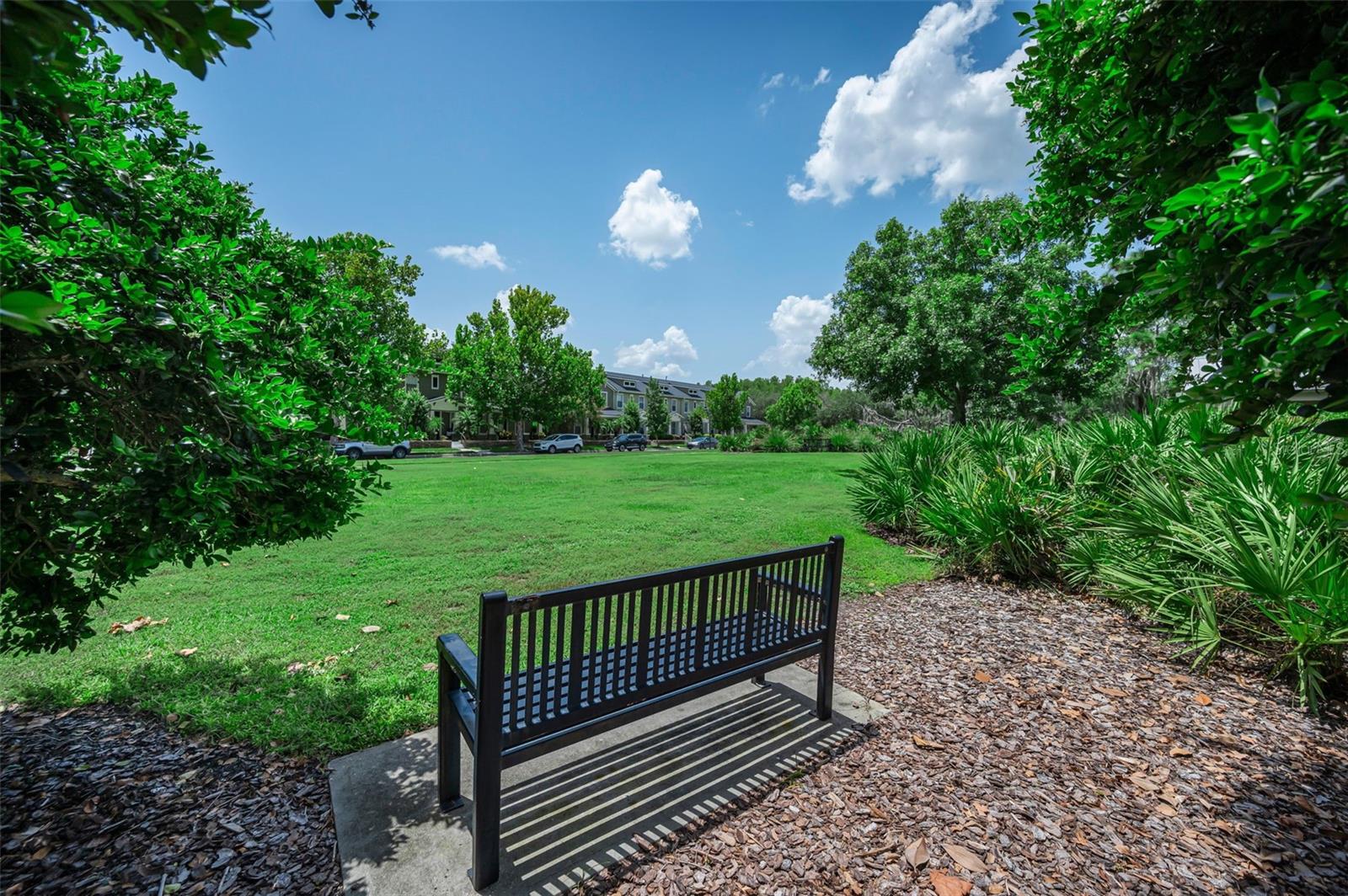 LONGLEAF NBRHD 3 - Residential