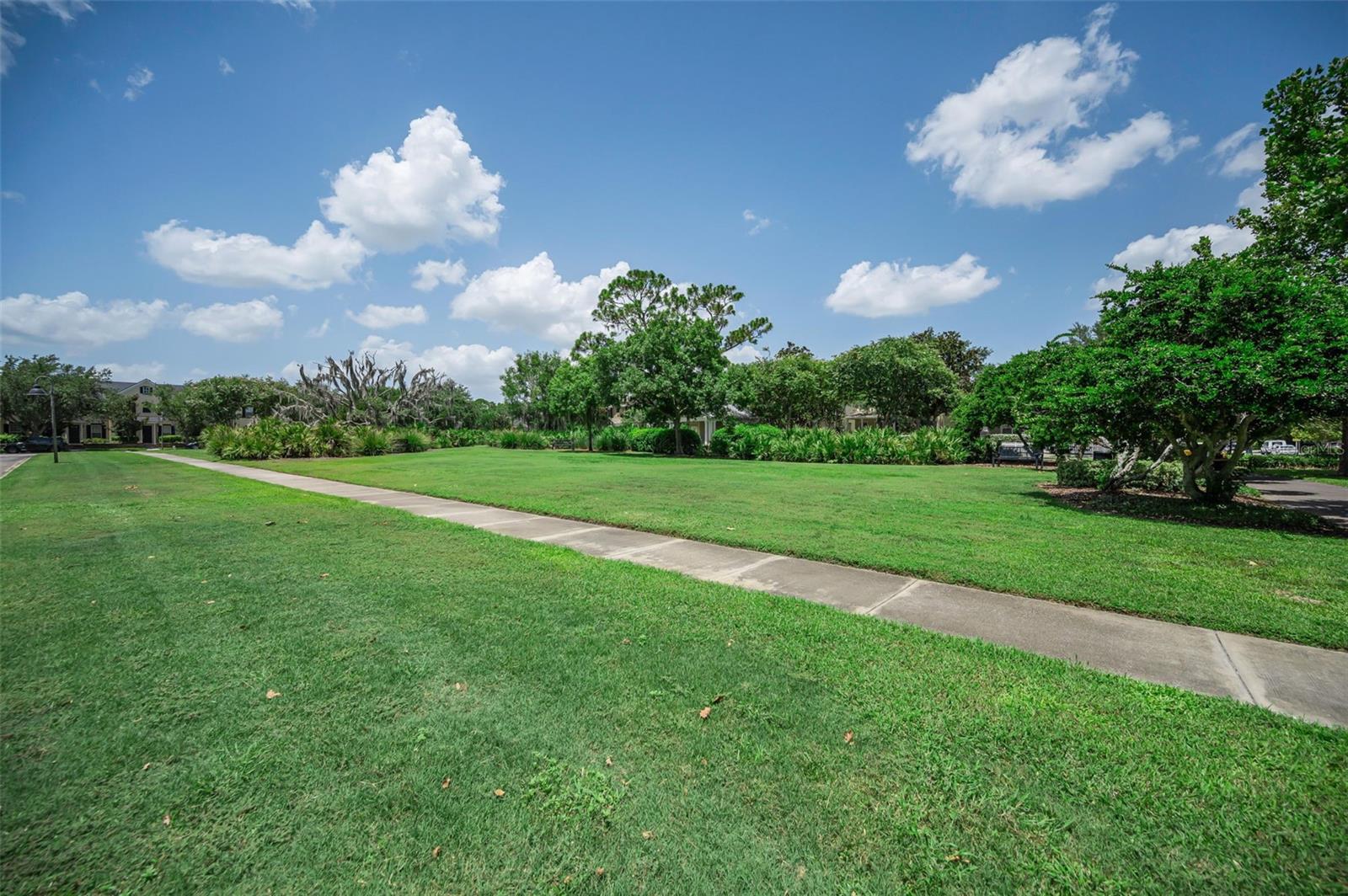 LONGLEAF NBRHD 3 - Residential