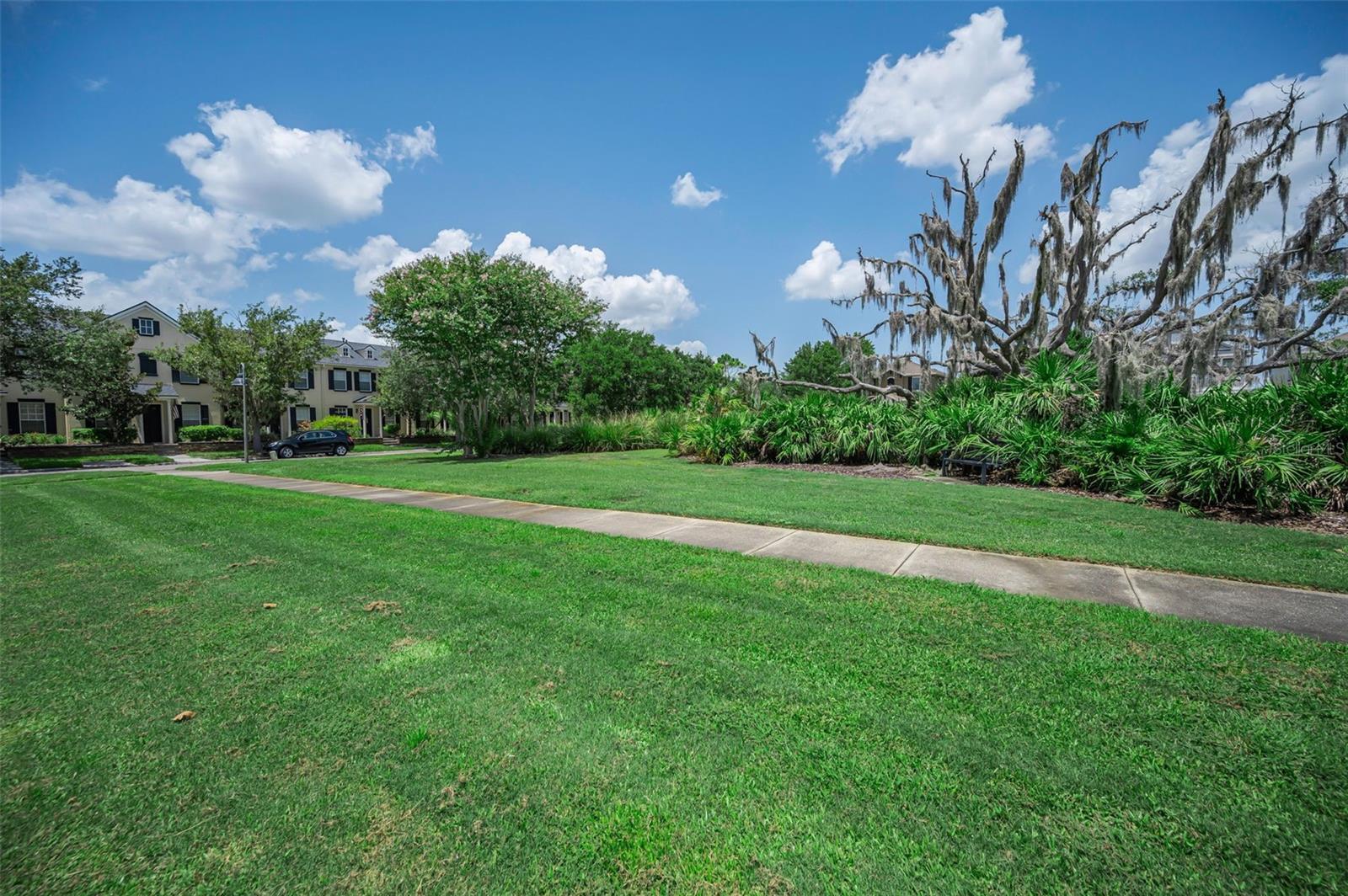 LONGLEAF NBRHD 3 - Residential