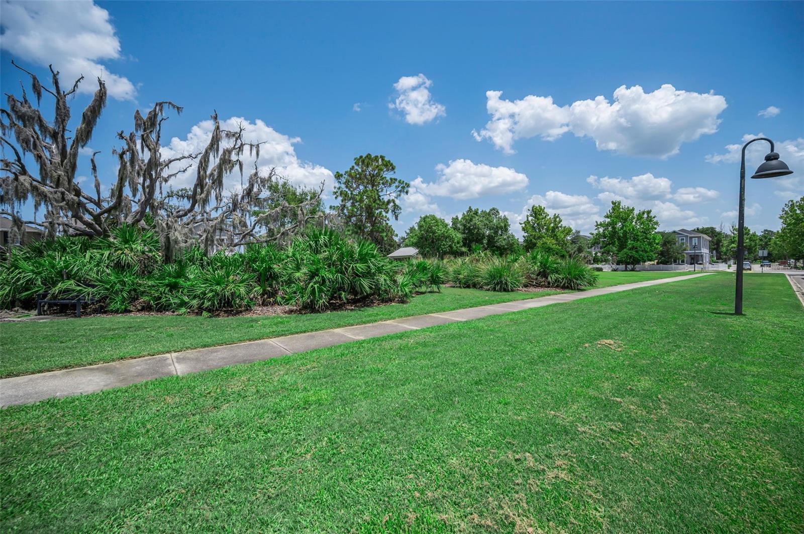 LONGLEAF NBRHD 3 - Residential