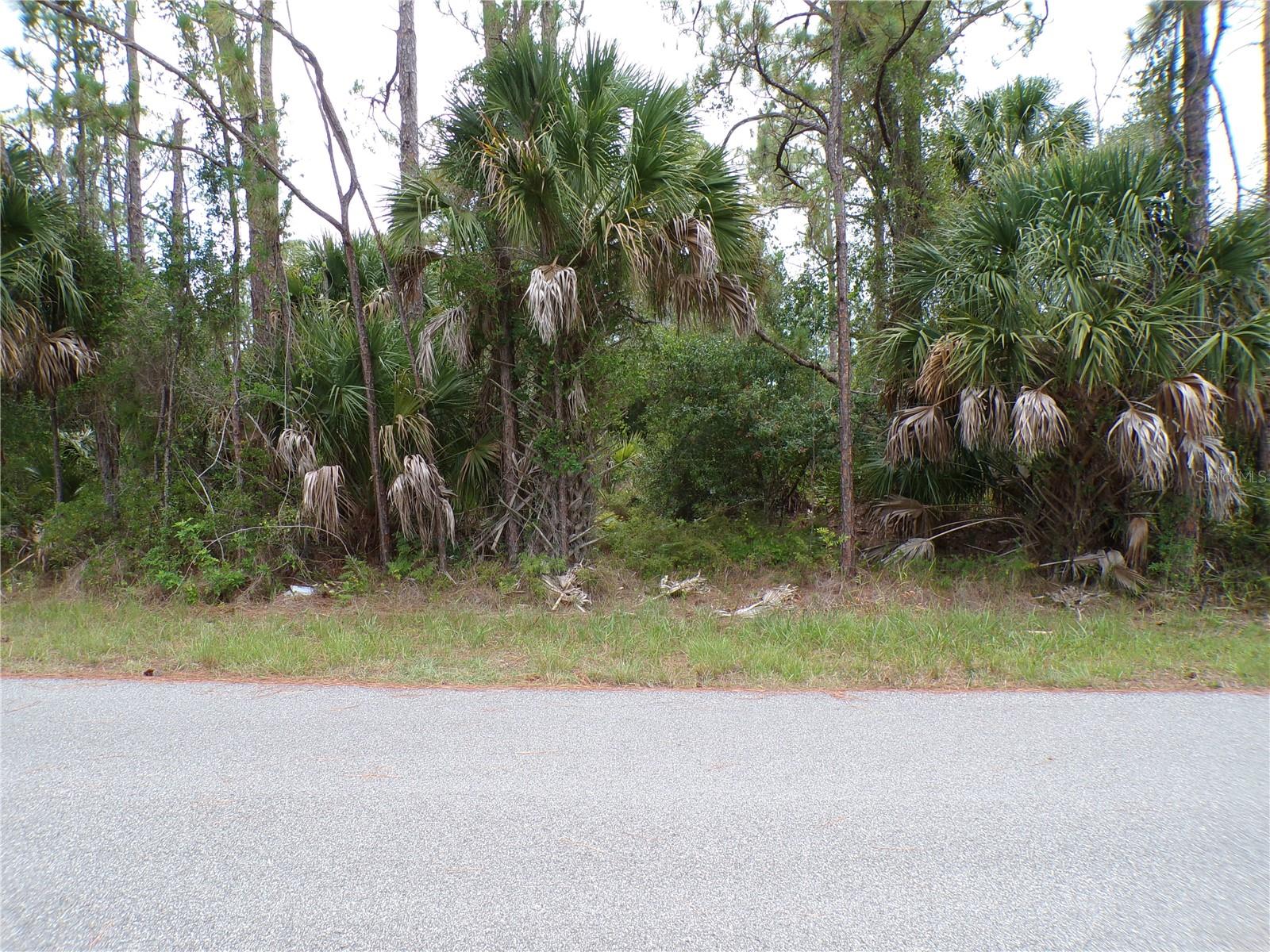 PORT CHARLOTTE SUB 25 - Land