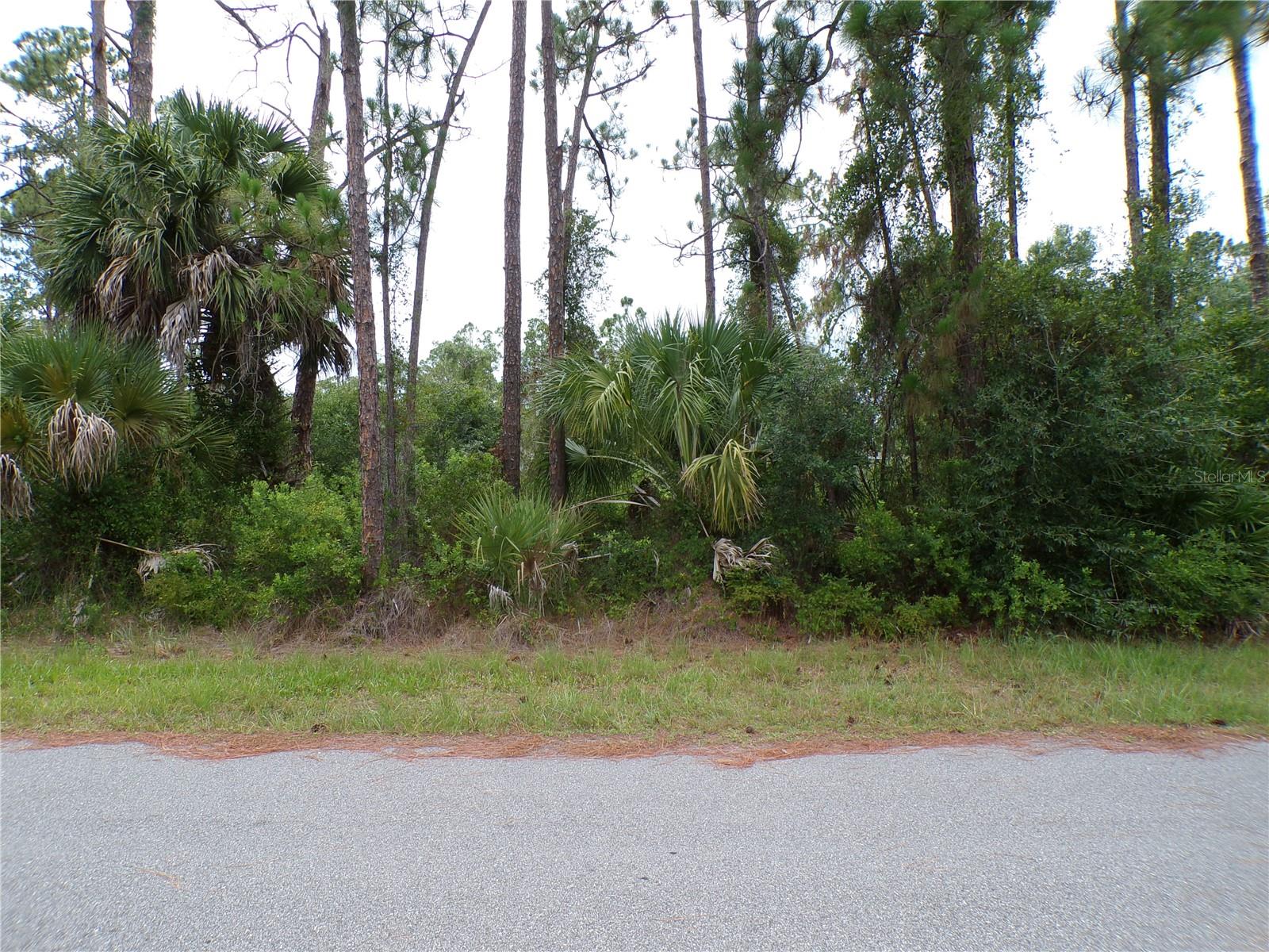 PORT CHARLOTTE SUB 25 - Land