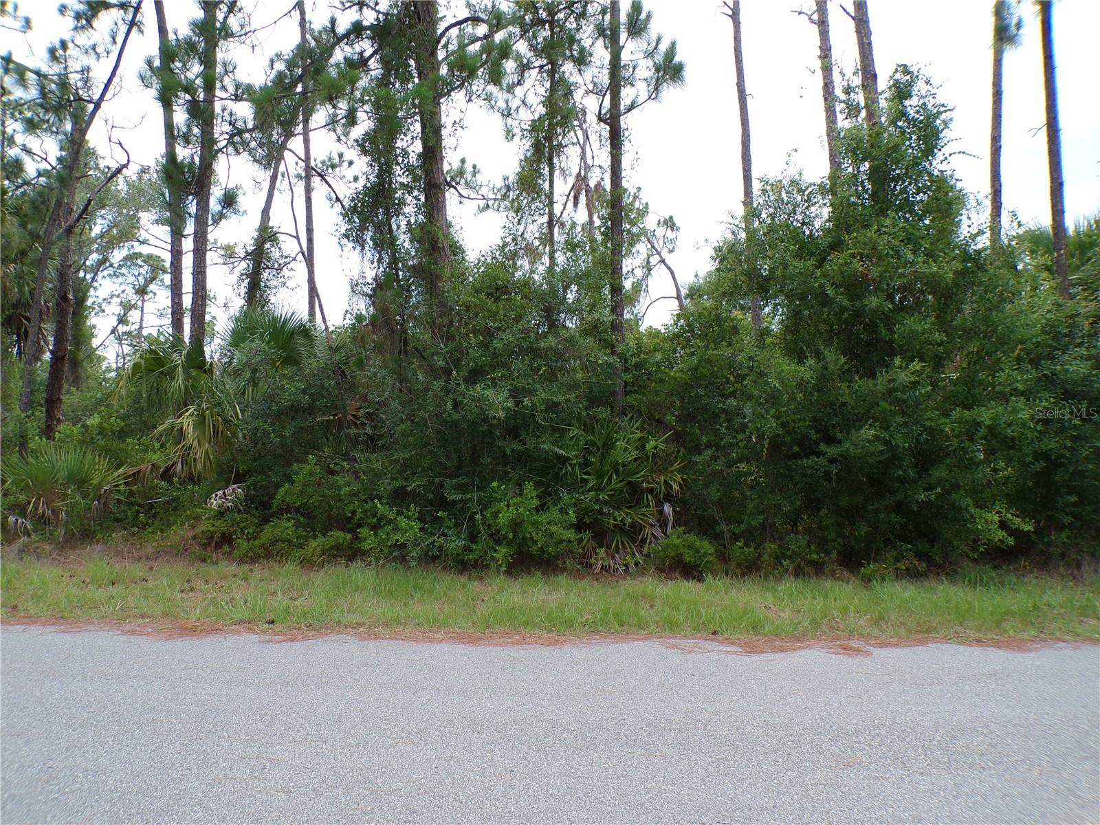 PORT CHARLOTTE SUB 25 - Land
