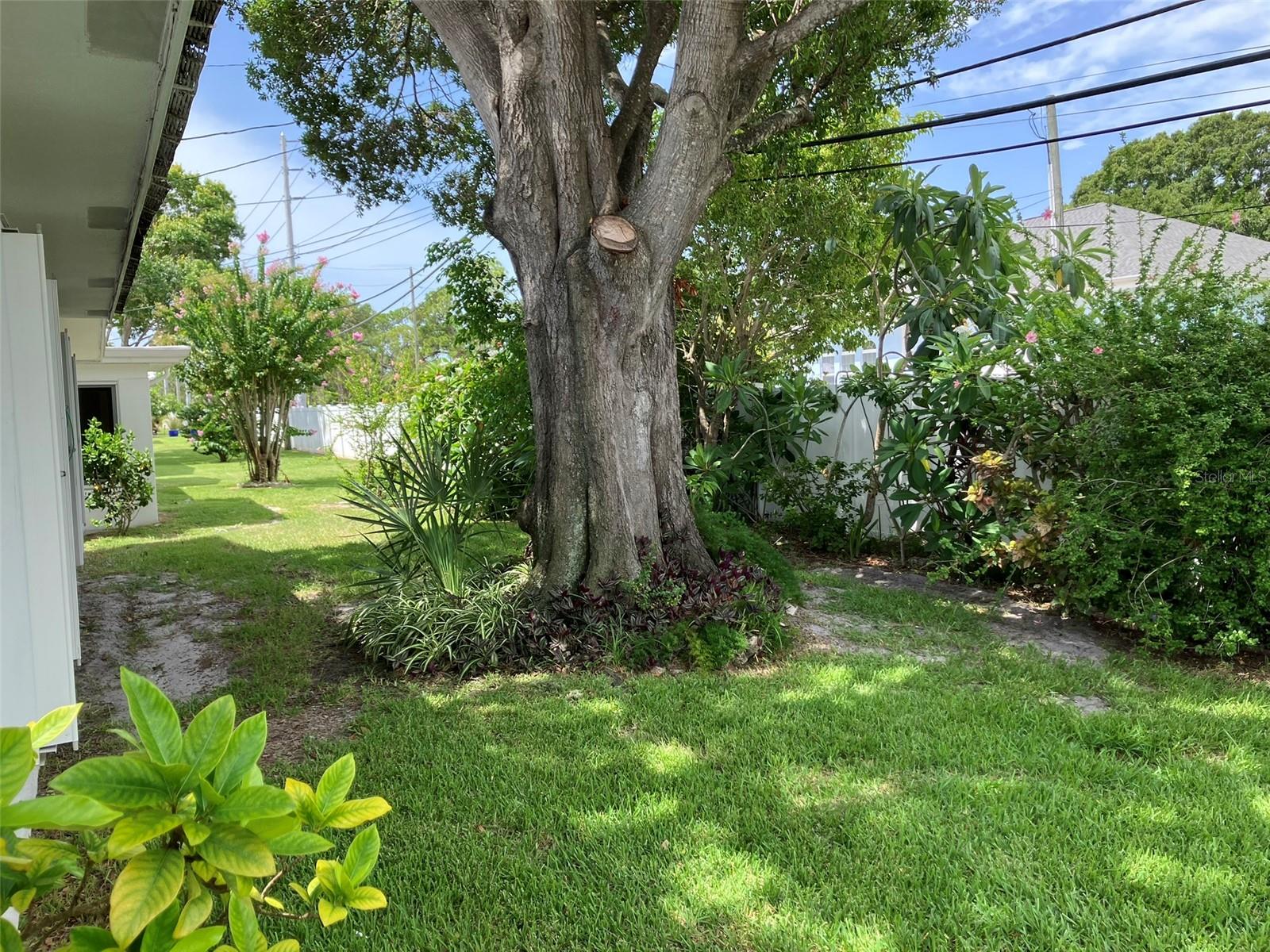 MAINLANDS OF TAMARAC BY THE GULF TWO CONDO - Residential