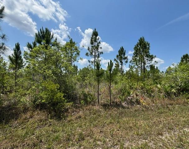 INDIAN LAKE ESTATES UNIT 09 REV - Land