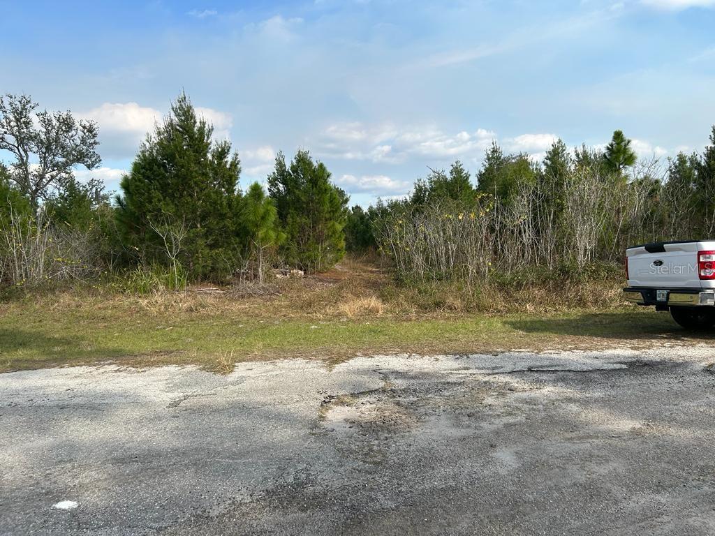 LEHIGH ACRES - Land