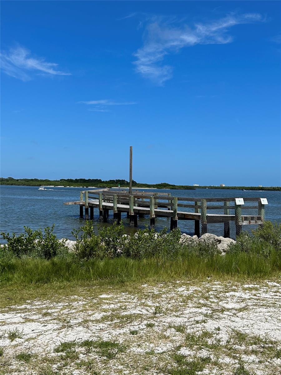 Florida Shores 01 - Land